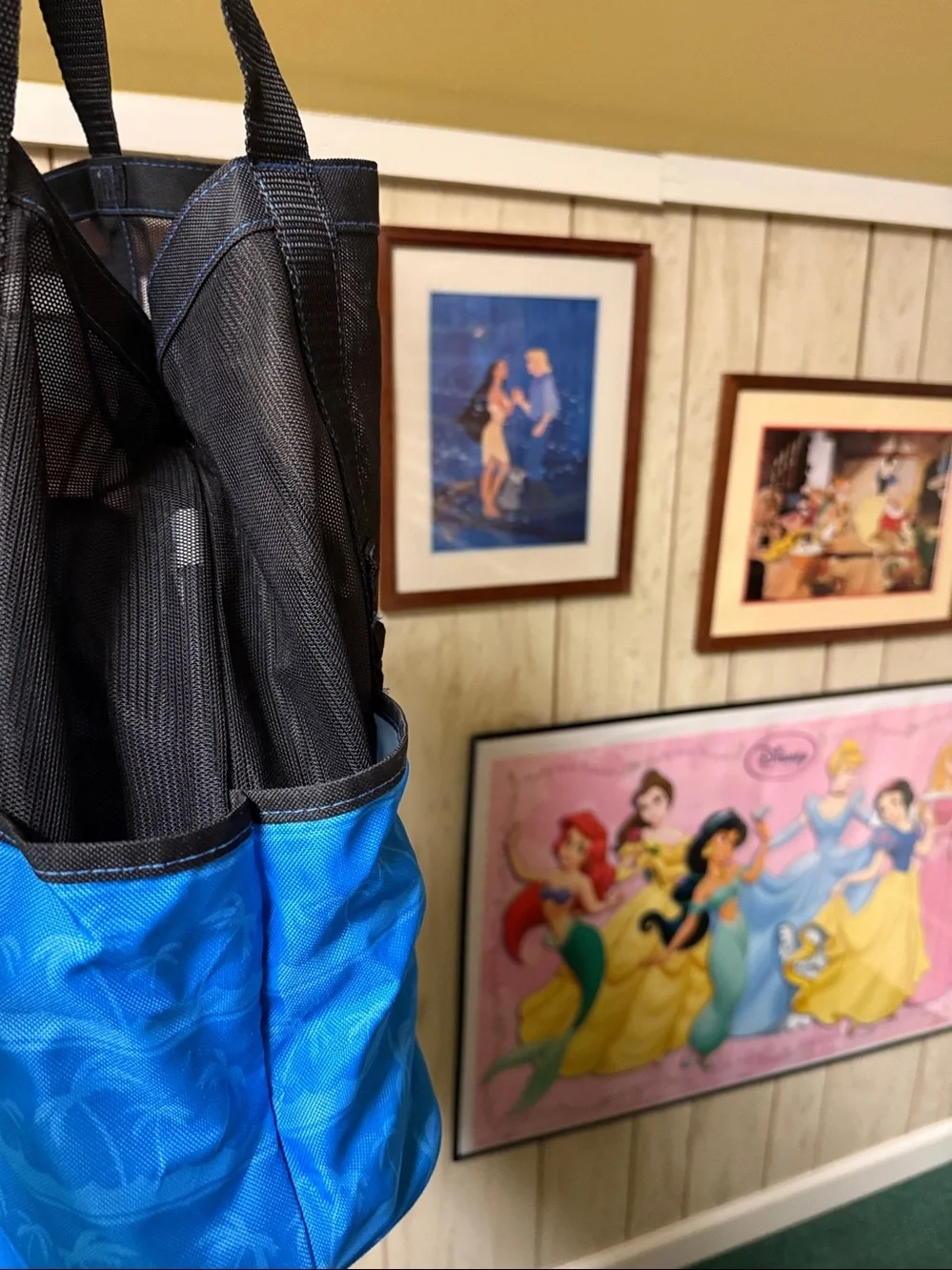 Disney Cruise Member Cruise DVC Blue & Black Tote Bag mesh upper, pool bag Goofy